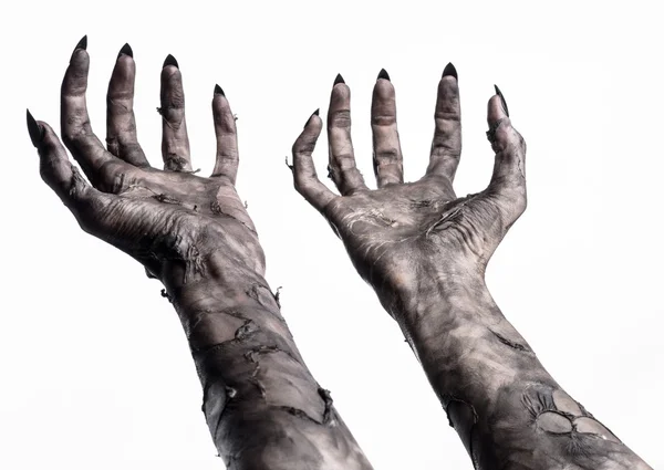 Black hand of death, the walking dead, zombie theme, halloween theme, zombie hands, white background, isolated, hand of death, mummy hands, the hands of the devil, black nails, hands monster — Stock Photo, Image