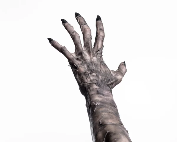 Mano nera della morte, i morti viventi, tema zombie, tema Halloween, mani zombie, sfondo bianco, isolato, mano della morte, mani mummia, le mani del diavolo, chiodi neri, mani mostro — Foto Stock