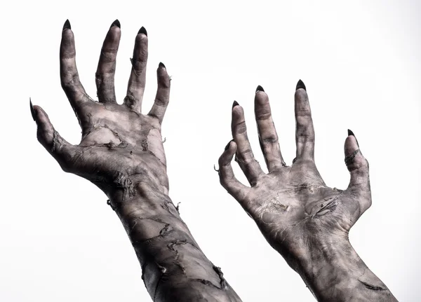 Black hand of death, the walking dead, zombie theme, halloween theme, zombie hands, white background, isolated, hand of death, mummy hands, the hands of the devil, black nails, hands monster — Stock Photo, Image