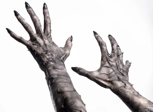 Black hand of death, the walking dead, zombie theme, halloween theme, zombie hands, white background, isolated, hand of death, mummy hands, the hands of the devil, black nails, hands monster — Stock Photo, Image