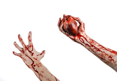 Kan ve Halloween Tema: kanlı kadar kötü bir elle insan kalbi Studio beyaz arka plan üzerinde izole kanama yırtık tutun