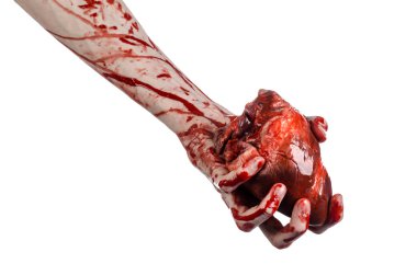 Kan ve Halloween Tema: kanlı kadar kötü bir elle insan kalbi Studio beyaz arka plan üzerinde izole kanama yırtık tutun