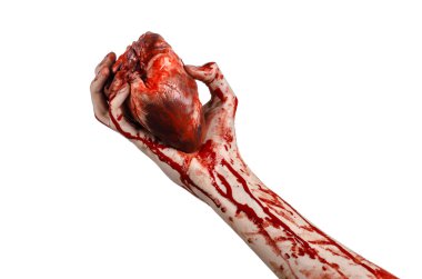 Kan ve Halloween Tema: kanlı kadar kötü bir elle insan kalbi Studio beyaz arka plan üzerinde izole kanama yırtık tutun