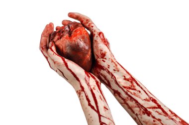 Kan ve Halloween Tema: kanlı kadar kötü bir elle insan kalbi Studio beyaz arka plan üzerinde izole kanama yırtık tutun