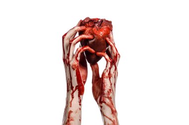 Kan ve Halloween Tema: kanlı kadar kötü bir elle insan kalbi Studio beyaz arka plan üzerinde izole kanama yırtık tutun