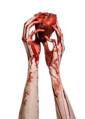 Kan ve Halloween Tema: kanlı kadar kötü bir elle insan kalbi Studio beyaz arka plan üzerinde izole kanama yırtık tutun