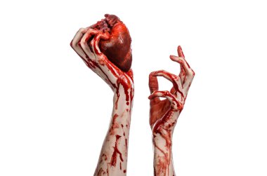 Kan ve Halloween Tema: kanlı kadar kötü bir elle insan kalbi Studio beyaz arka plan üzerinde izole kanama yırtık tutun