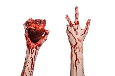Kan ve Halloween Tema: kanlı kadar kötü bir elle insan kalbi Studio beyaz arka plan üzerinde izole kanama yırtık tutun
