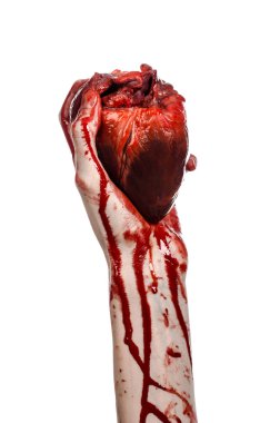 Kan ve Halloween Tema: kanlı kadar kötü bir elle insan kalbi Studio beyaz arka plan üzerinde izole kanama yırtık tutun
