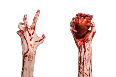 Kan ve Halloween Tema: kanlı kadar kötü bir elle insan kalbi Studio beyaz arka plan üzerinde izole kanama yırtık tutun