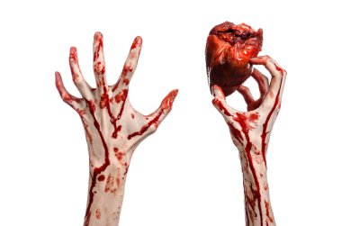 Kan ve Halloween Tema: kanlı kadar kötü bir elle insan kalbi Studio beyaz arka plan üzerinde izole kanama yırtık tutun
