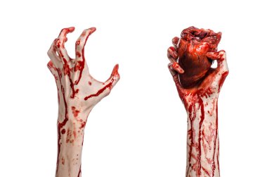Kan ve Halloween Tema: kanlı kadar kötü bir elle insan kalbi Studio beyaz arka plan üzerinde izole kanama yırtık tutun