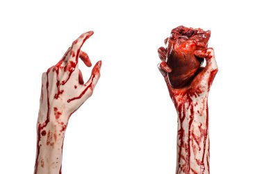 Kan ve Halloween Tema: kanlı kadar kötü bir elle insan kalbi Studio beyaz arka plan üzerinde izole kanama yırtık tutun