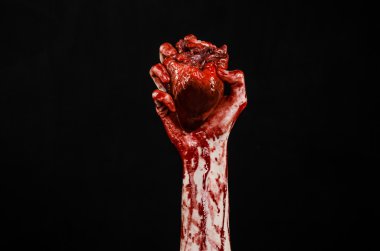 Blood and Halloween theme: terrible bloody hand hold torn bleeding human heart isolated on black background in studio