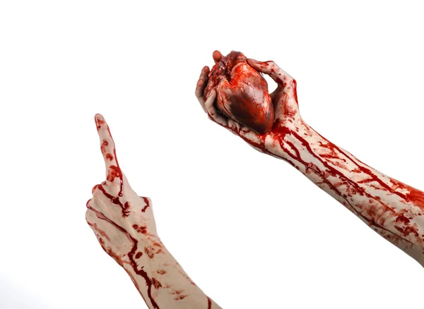 Blood and Halloween theme: terrible bloody hand hold torn bleeding human heart isolated on white background in studio — Stock Photo, Image