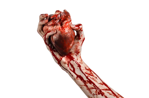 Blood and Halloween theme: terrible bloody hand hold torn bleeding human heart isolated on white background in studio — Stock Photo, Image