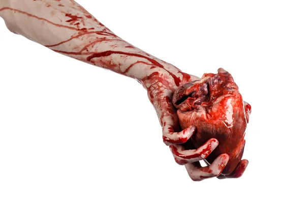 Blood and Halloween theme: terrible bloody hand hold torn bleeding human heart isolated on white background in studio — Stock Photo, Image