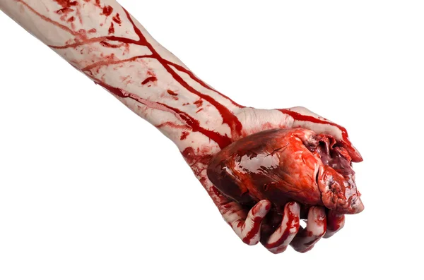 Кровавая тема и тема Хэллоуина: жуткая кровавая рука держит разорванное кровоточащее человеческое сердце изолированным на белом фоне в студии — стоковое фото