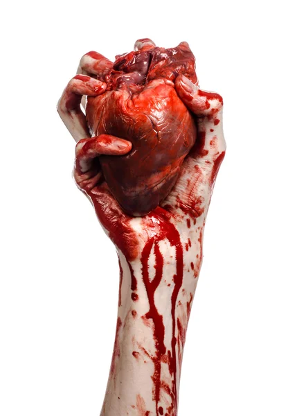 Blood and Halloween theme: terrible bloody hand hold torn bleeding human heart isolated on white background in studio — Stock Photo, Image