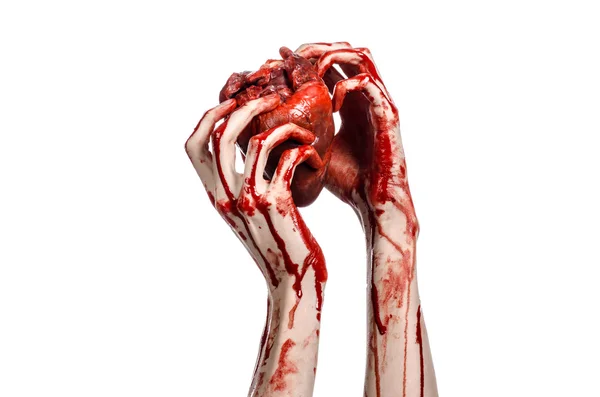 Blood and Halloween theme: terrible bloody hand hold torn bleeding human heart isolated on white background in studio — Stock Photo, Image