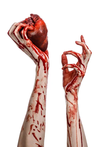 Blood and Halloween theme: terrible bloody hand hold torn bleeding human heart isolated on white background in studio — Stock Photo, Image