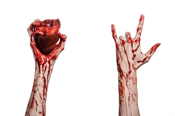 Blood and Halloween theme: terrible bloody hand hold torn bleeding human heart isolated on white background in studio — Stock Photo, Image