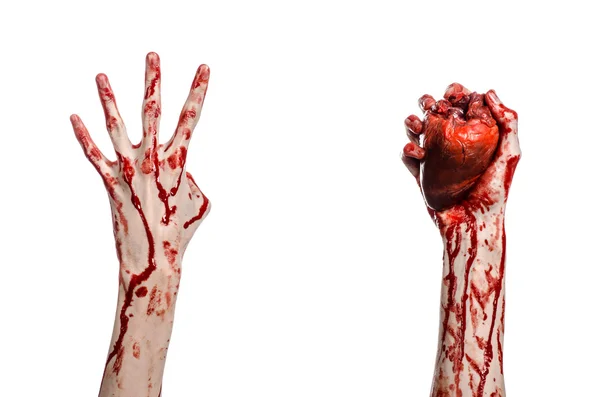 Blood and Halloween theme: terrible bloody hand hold torn bleeding human heart isolated on white background in studio — Stock Photo, Image