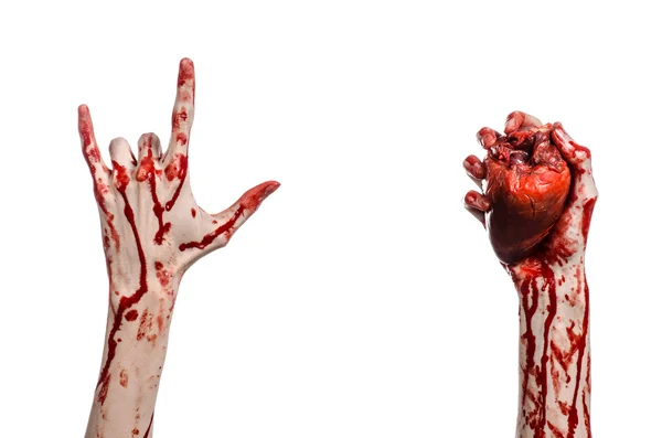 Blood and Halloween theme: terrible bloody hand hold torn bleeding human heart isolated on white background in studio — Stock Photo, Image