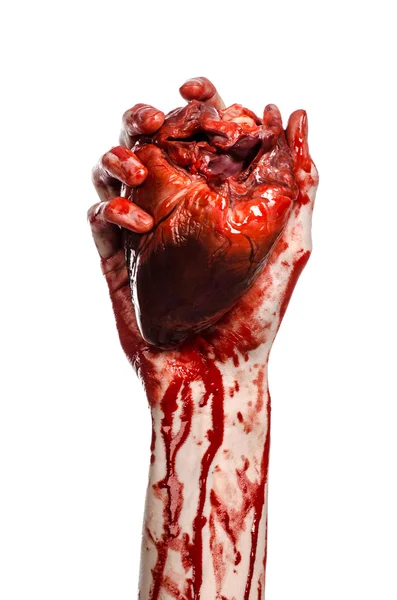 Blood and Halloween theme: terrible bloody hand hold torn bleeding human heart isolated on white background in studio — Stock Photo, Image