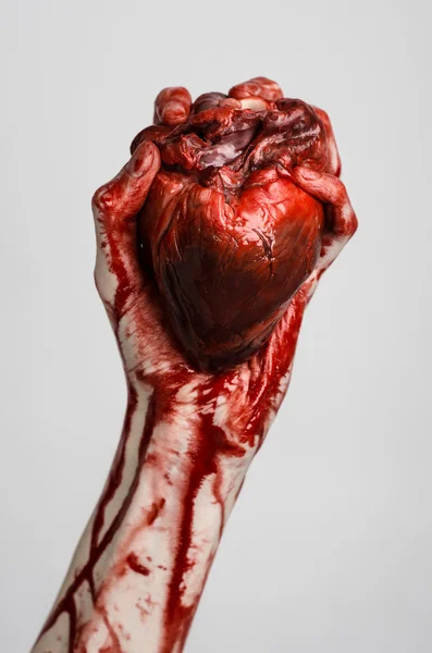 Blood and Halloween theme: terrible bloody hand hold torn bleeding human heart isolated on gray background in studio — Stock Photo, Image