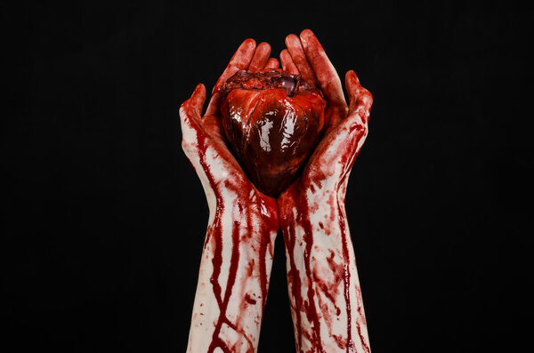 Blood and Halloween theme: terrible bloody hand hold torn bleeding human heart isolated on black background in studio