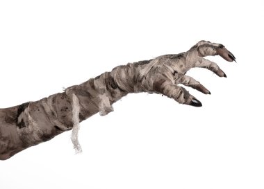 Halloween Tema: korkunç eski mumya eller üzerinde beyaz bir arka plan