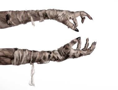 Halloween Tema: korkunç eski mumya eller üzerinde beyaz bir arka plan