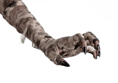 Halloween Tema: korkunç eski mumya eller üzerinde beyaz bir arka plan