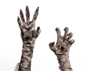 Halloween Tema: korkunç eski mumya eller üzerinde beyaz bir arka plan