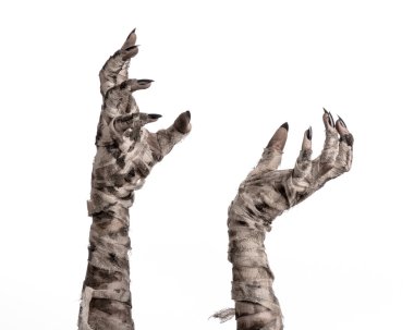 Halloween Tema: korkunç eski mumya eller üzerinde beyaz bir arka plan