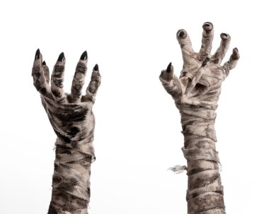 Halloween Tema: korkunç eski mumya eller üzerinde beyaz bir arka plan
