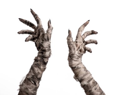 Halloween Tema: korkunç eski mumya eller üzerinde beyaz bir arka plan