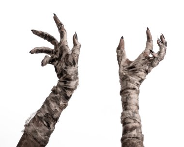 Halloween Tema: korkunç eski mumya eller üzerinde beyaz bir arka plan