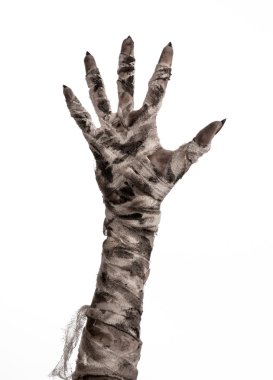 Halloween Tema: korkunç eski mumya eller üzerinde beyaz bir arka plan