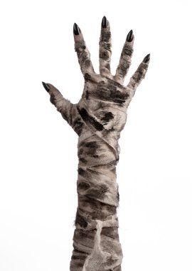 Halloween Tema: korkunç eski mumya eller üzerinde beyaz bir arka plan