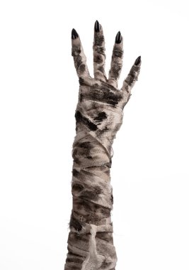 Halloween Tema: korkunç eski mumya eller üzerinde beyaz bir arka plan