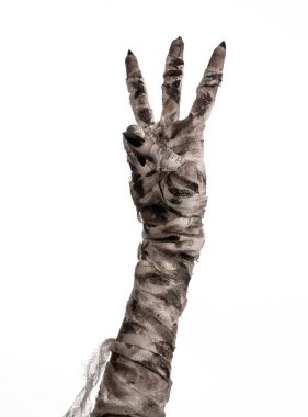 Halloween Tema: korkunç eski mumya eller üzerinde beyaz bir arka plan