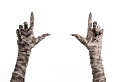 Halloween Tema: korkunç eski mumya eller üzerinde beyaz bir arka plan