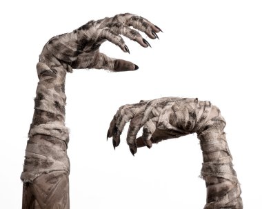 Halloween Tema: korkunç eski mumya eller üzerinde beyaz bir arka plan