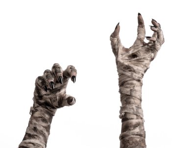 Halloween Tema: korkunç eski mumya eller üzerinde beyaz bir arka plan