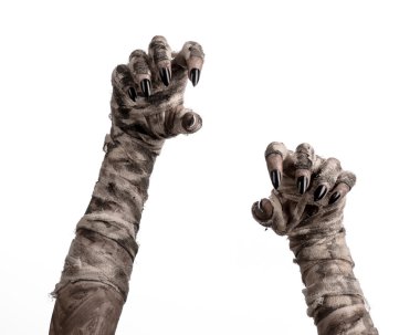 Halloween Tema: korkunç eski mumya eller üzerinde beyaz bir arka plan