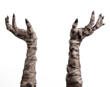 Halloween Tema: korkunç eski mumya eller üzerinde beyaz bir arka plan