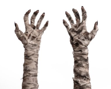 Halloween Tema: korkunç eski mumya eller üzerinde beyaz bir arka plan