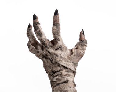 Halloween Tema: korkunç eski mumya eller üzerinde beyaz bir arka plan